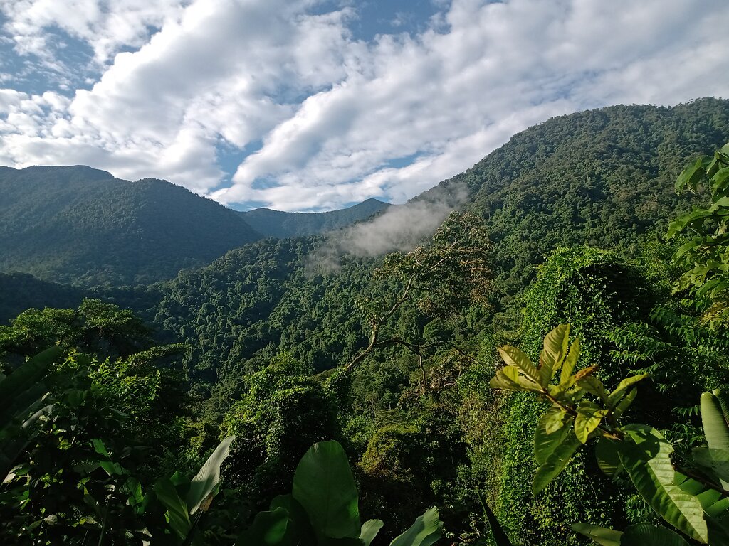 blog-travellers-ciudad-perdida-tour-lost-city-tour-ciudad-perdida-trek-trekking-excursion-colombia-sierra-nevada-trekking-landscape